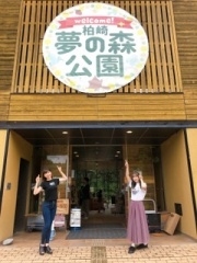 deco