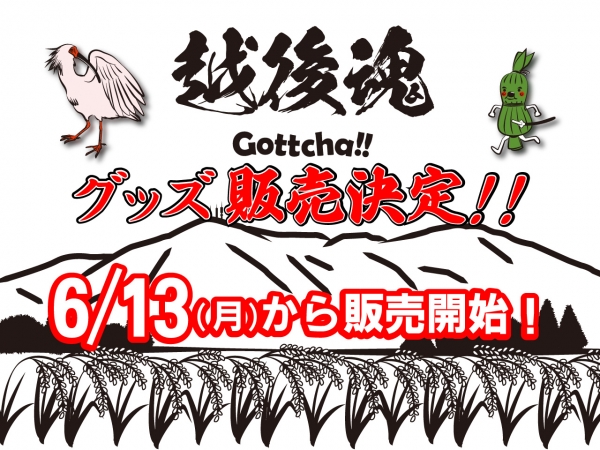 <Gottchaグッズ販売ページ> 6月13日（月）販売開始！！！